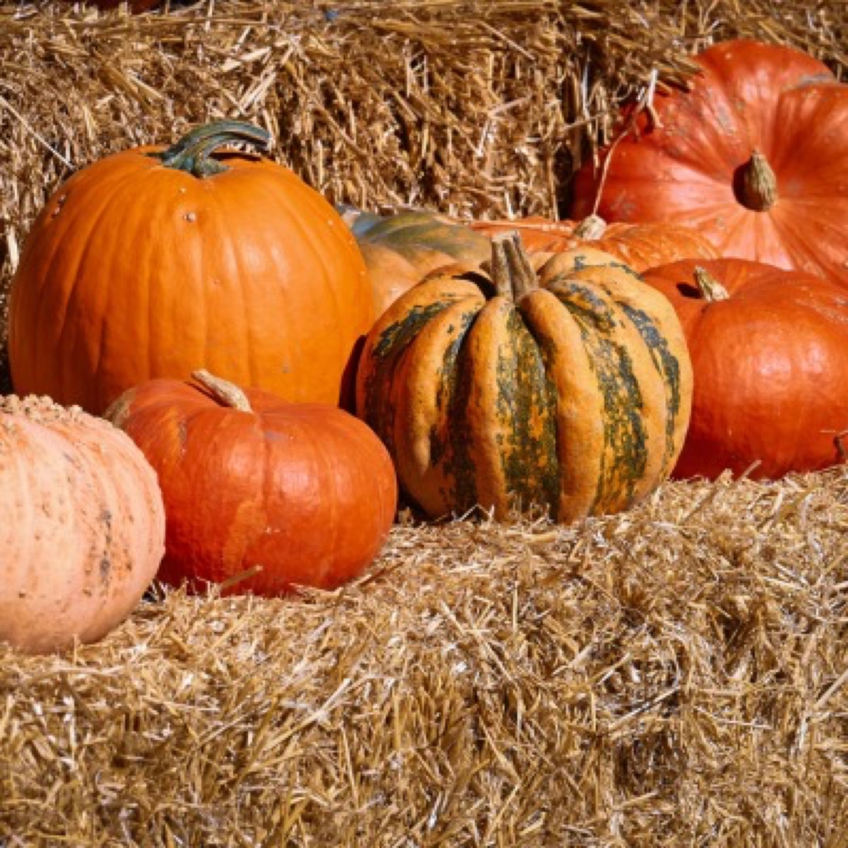 Prendergast newsletter - september