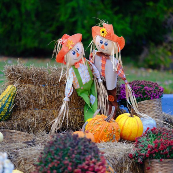 October 2026 Newsletter Fall Festivals