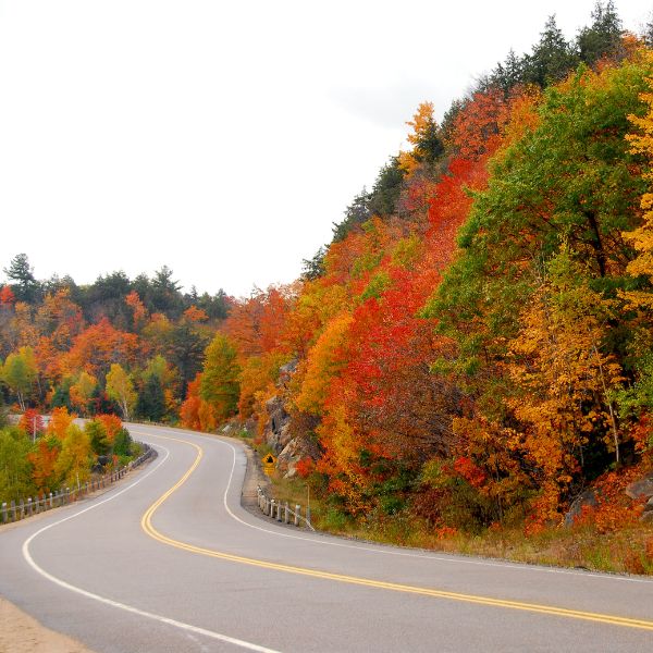 October 2026 Newsletter Scenic Drive