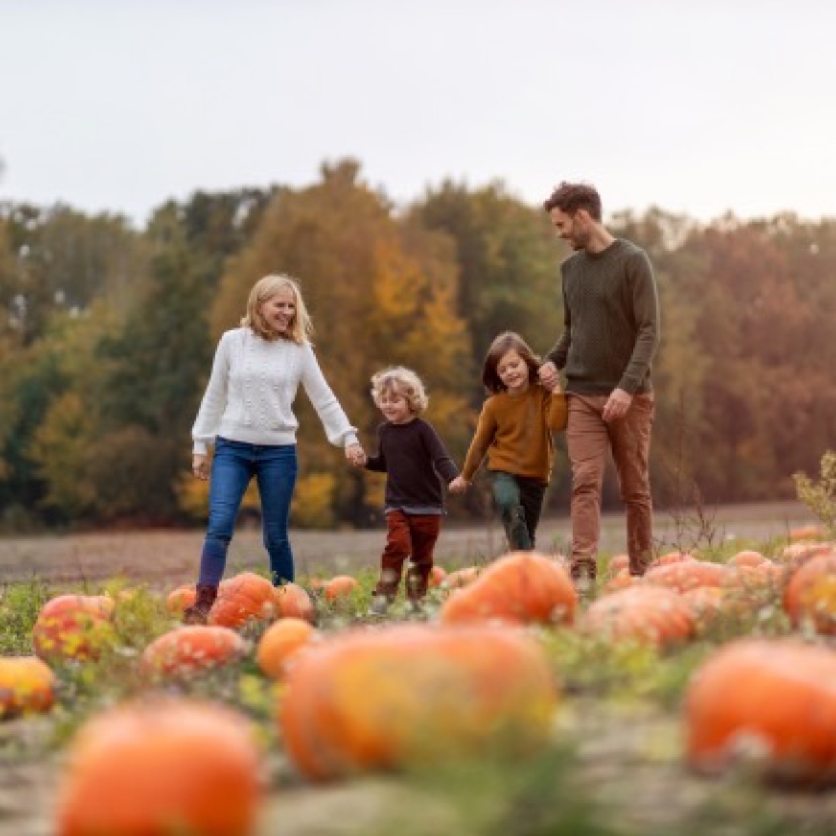 October 2026 Newsletter Pumpkin Village